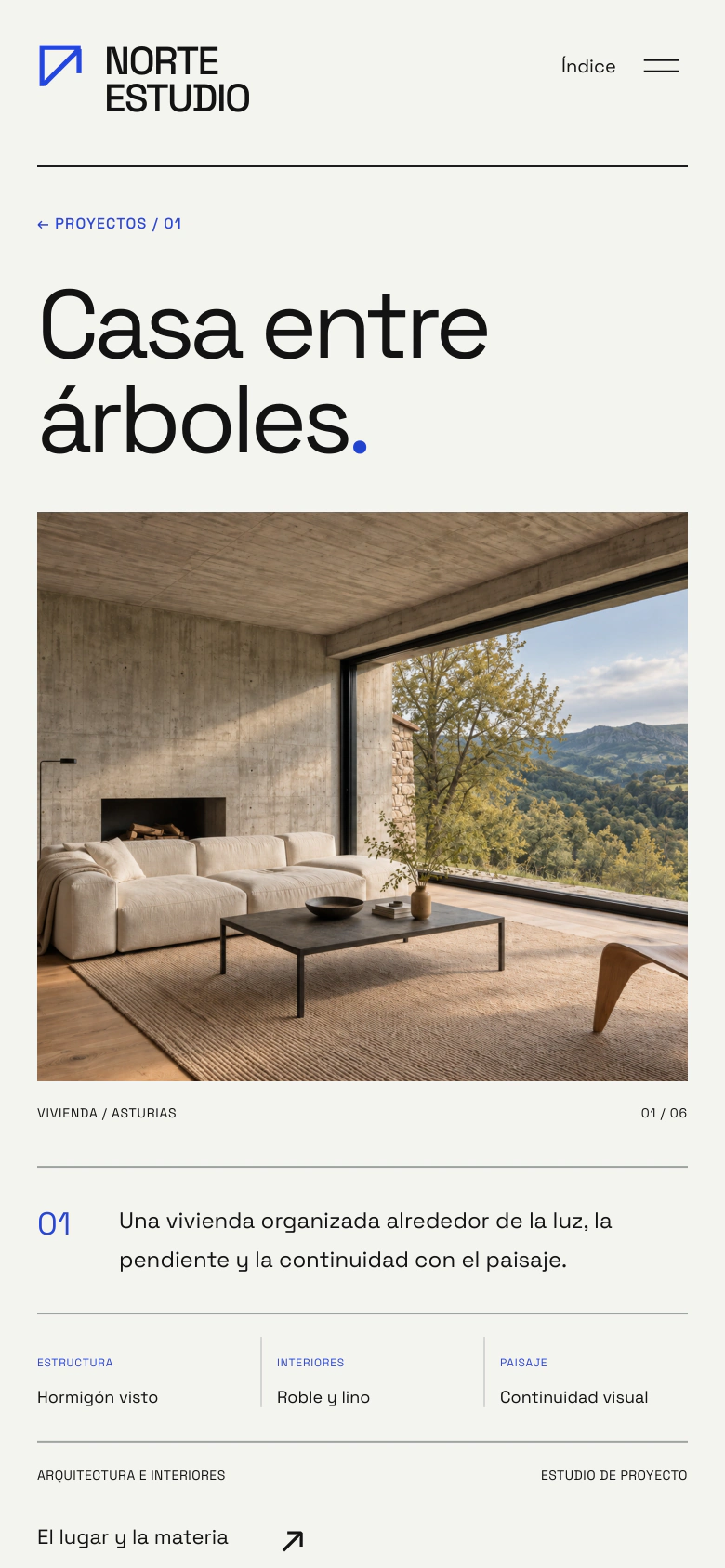 Norte Estudio — Concept project: 04 / Detalle del proyecto conceptual Casa entre árboles