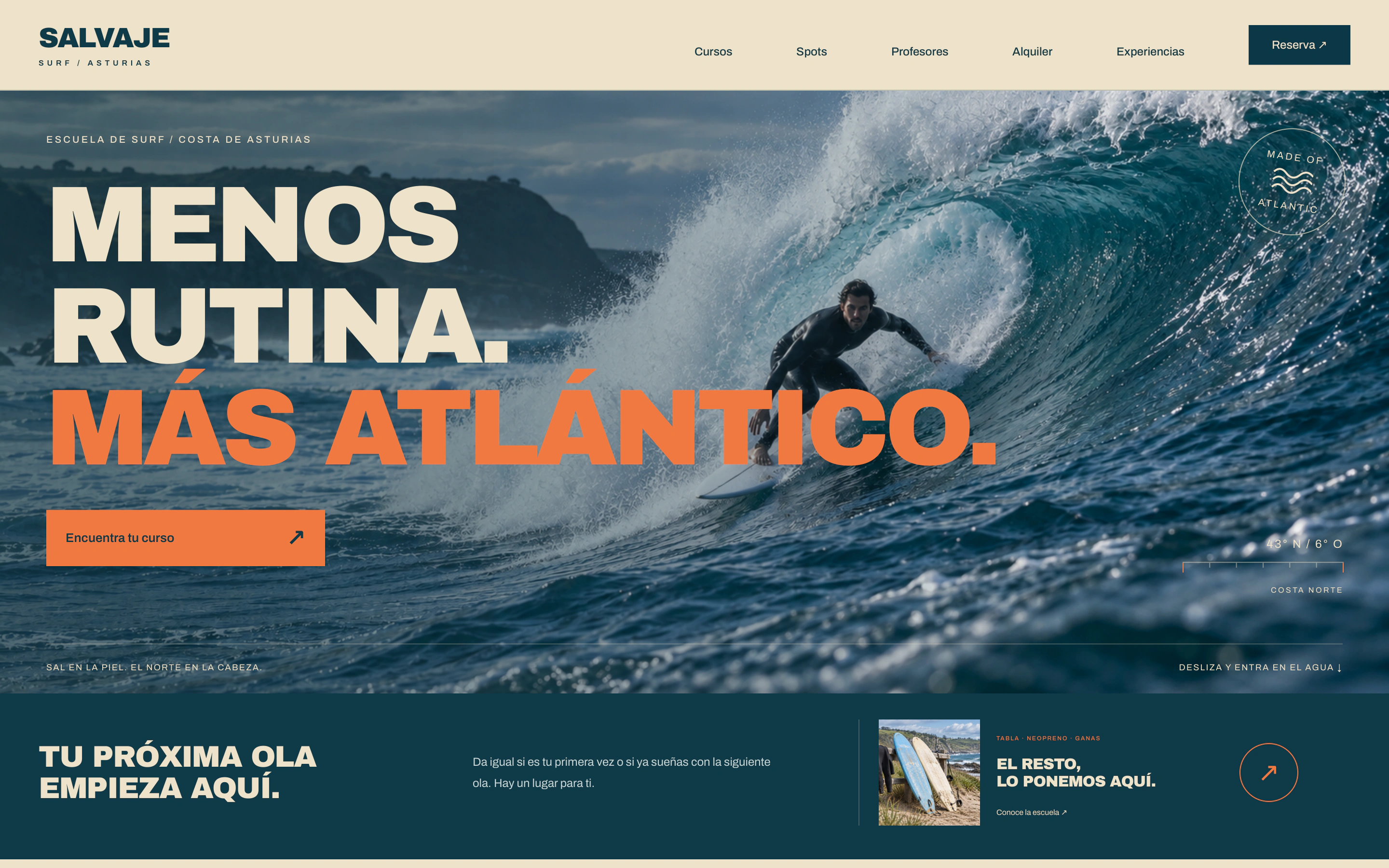 Salvaje Surf — Concept project: 01 / La primera impresión