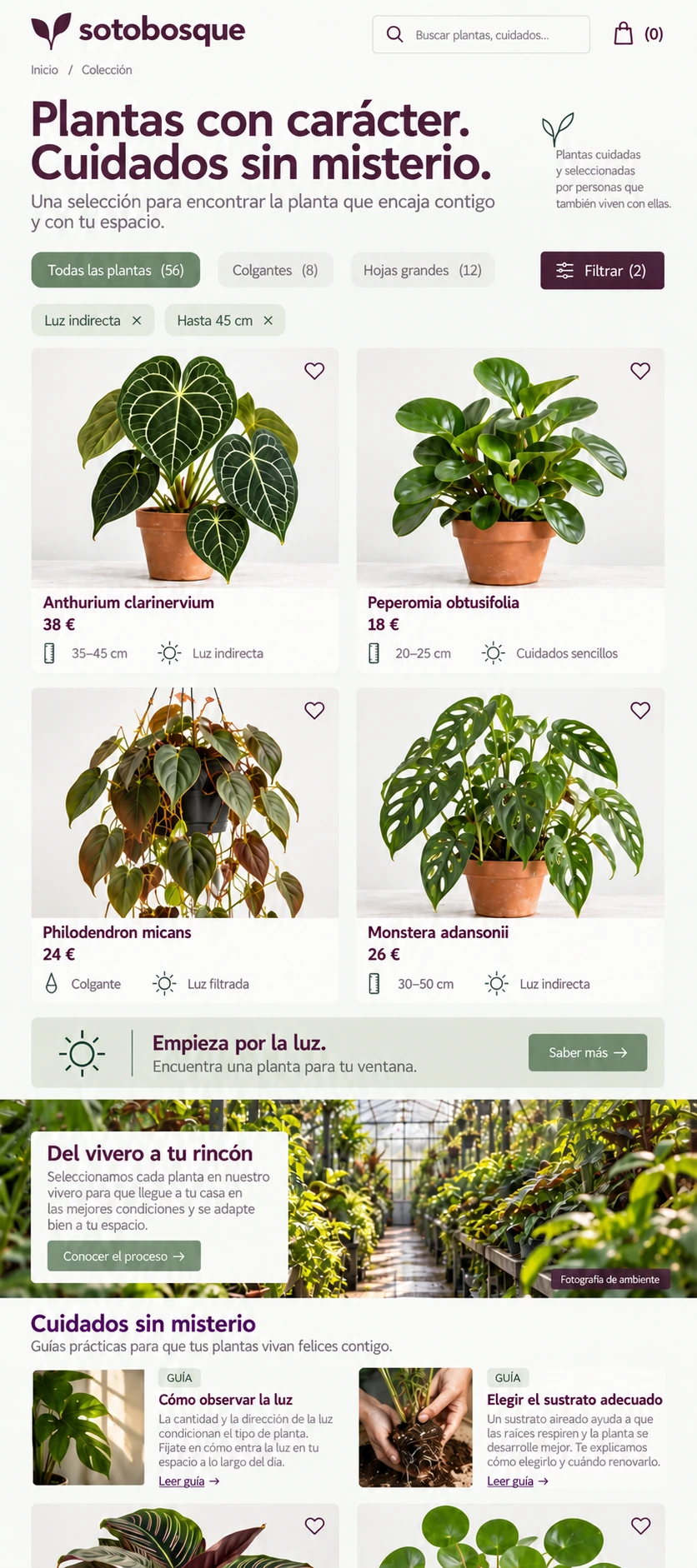 Sotobosque — 05 — Catalogue mobile avec filtres visibles et cartes adaptées.